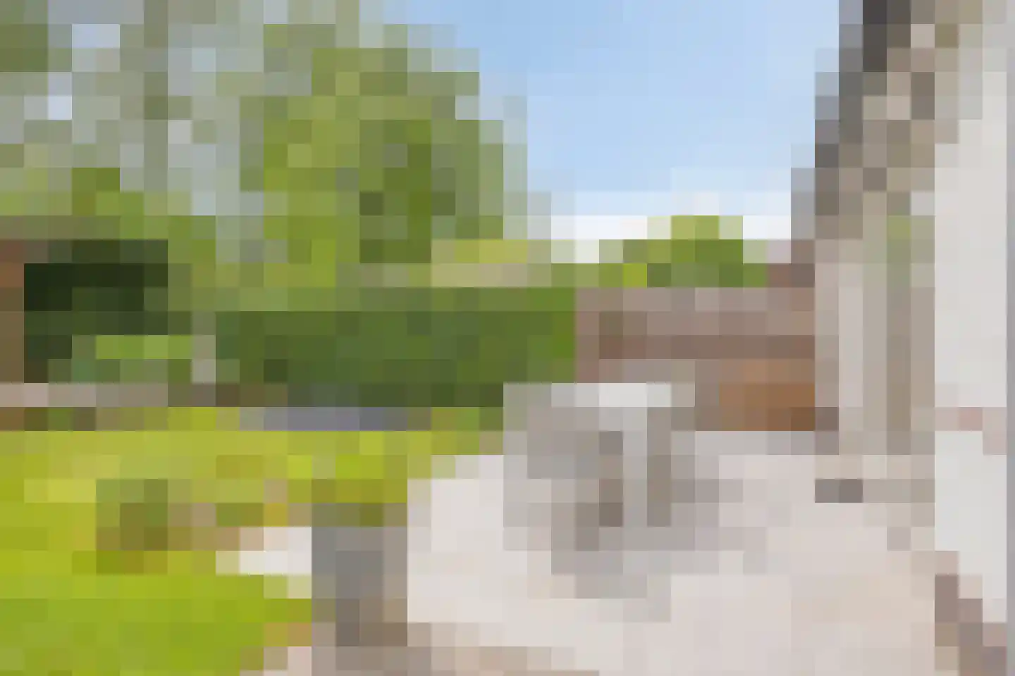 Saksen-Coburg 15 Arnhem thumbnail 58
