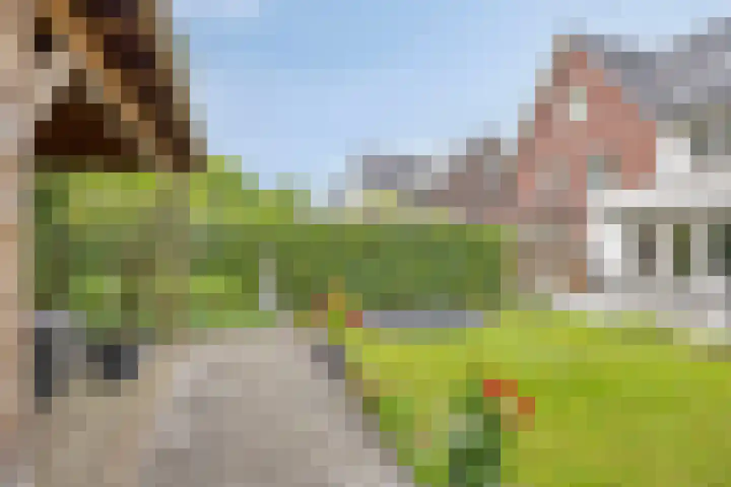 Saksen-Coburg 15 Arnhem thumbnail 60