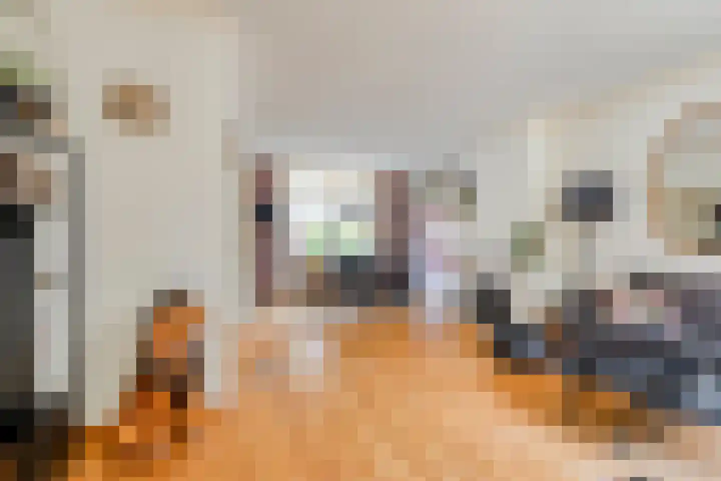 Saksen Weimarlaan 15 Breda thumbnail 10