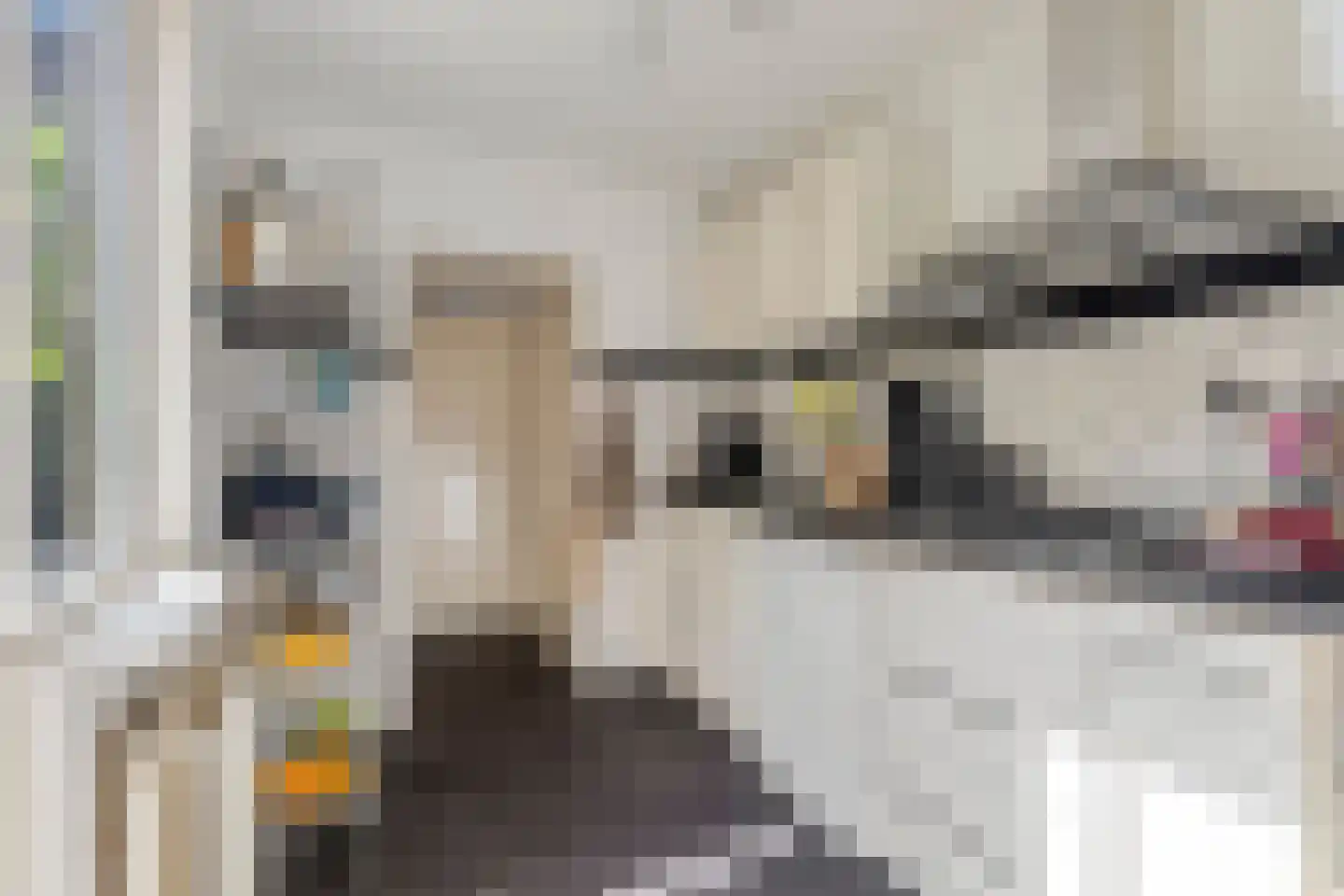 Saksen Weimarlaan 15 Breda thumbnail 12
