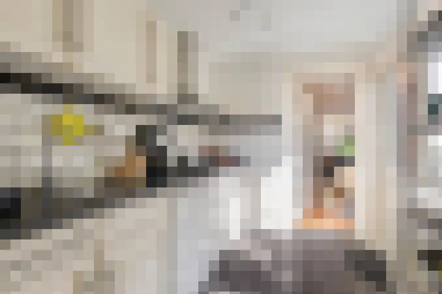 Saksen Weimarlaan 15 Breda thumbnail 13