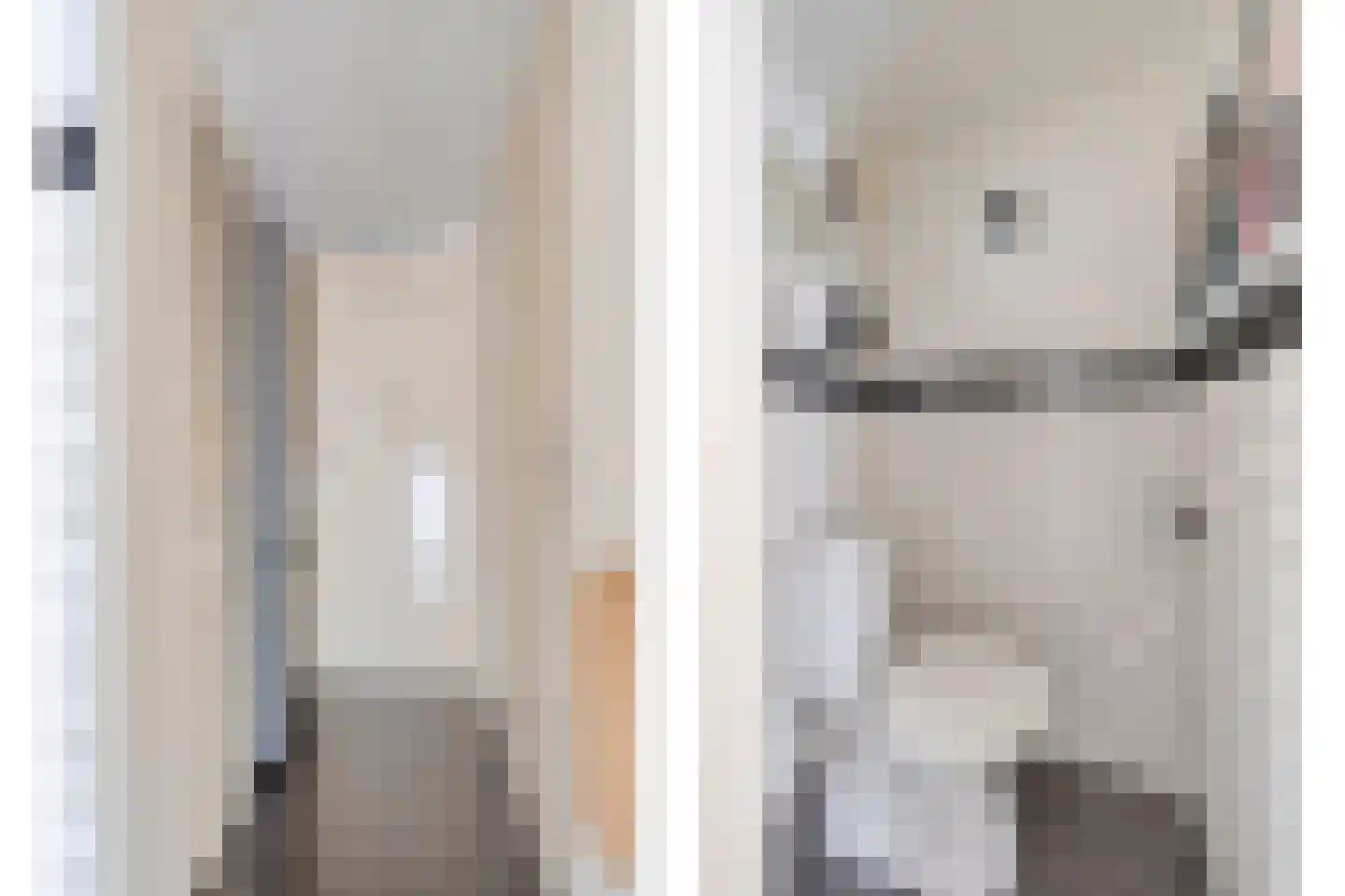 Saksen Weimarlaan 15 Breda thumbnail 14