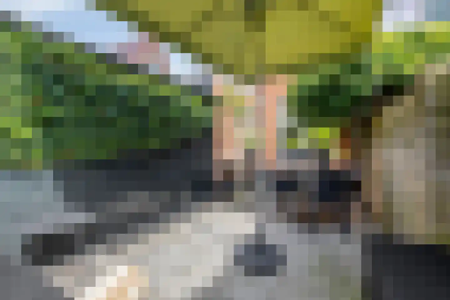 Saksen Weimarlaan 15 Breda thumbnail 23