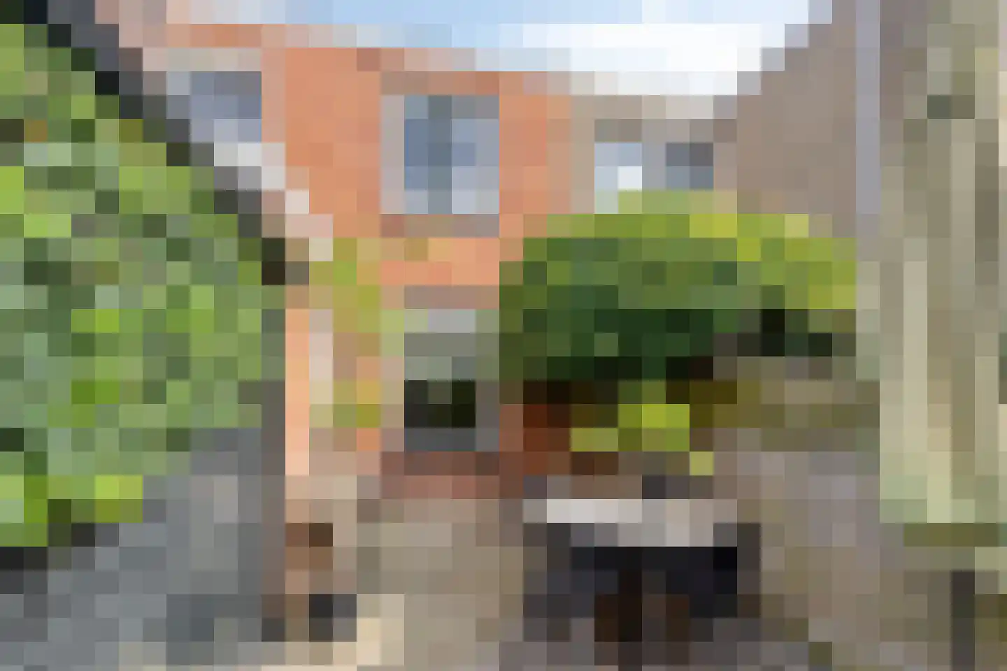 Saksen Weimarlaan 15 Breda thumbnail 24