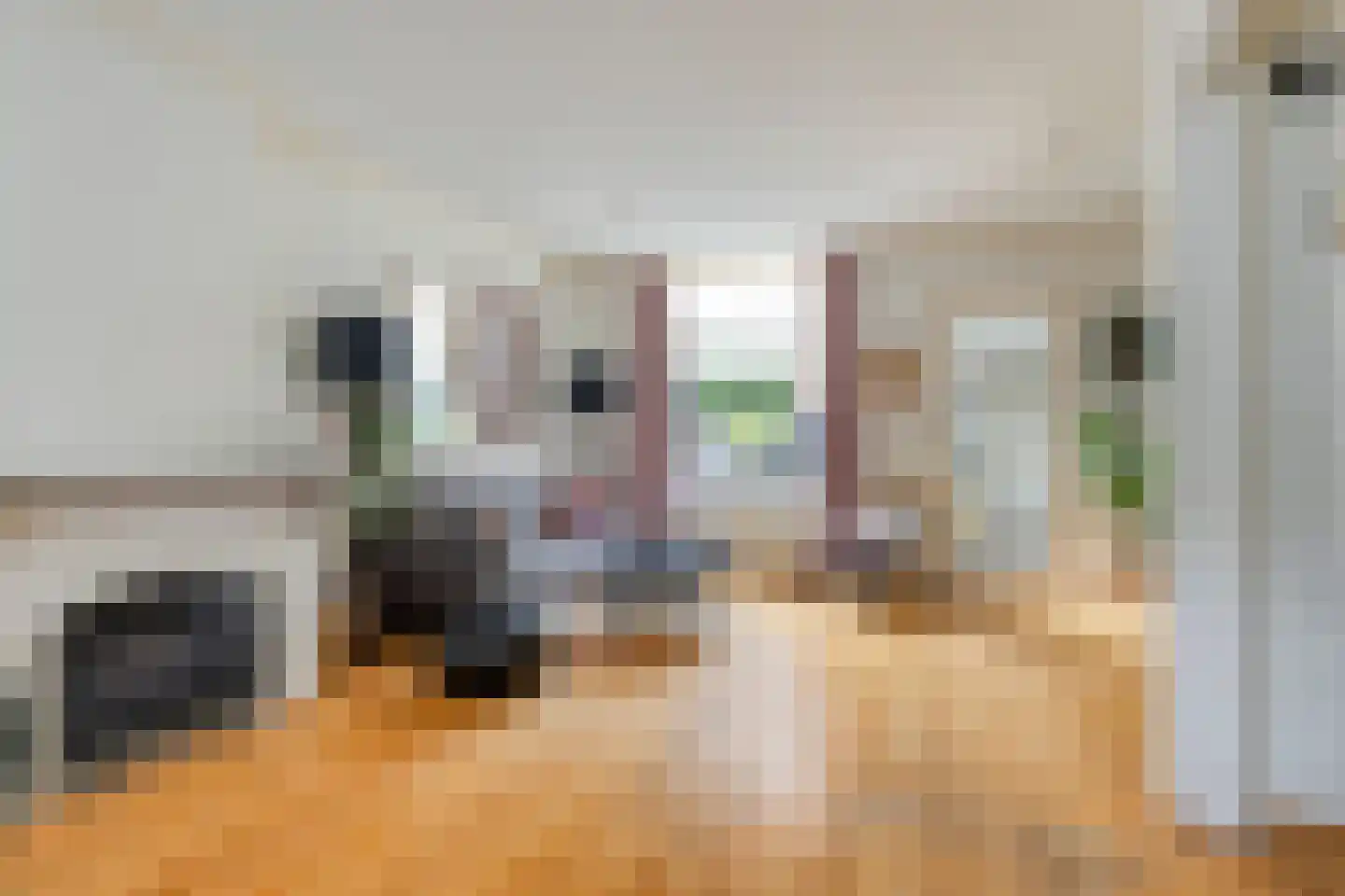 Saksen Weimarlaan 15 Breda thumbnail 5