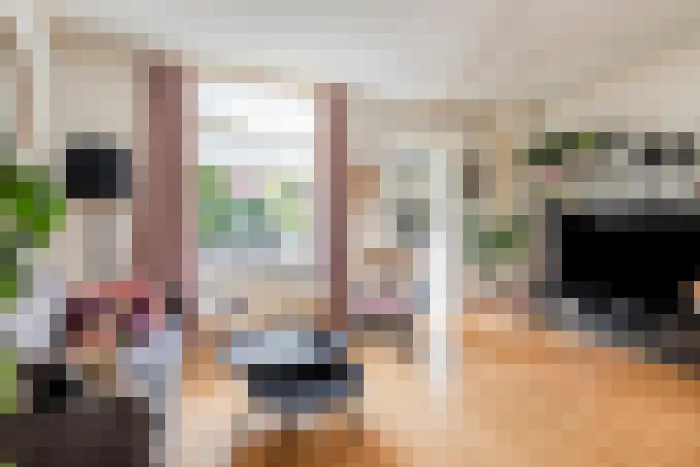 Saksen Weimarlaan 15 Breda thumbnail 7