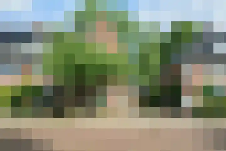 Saksen Weimarlaan 67 Breda thumbnail 6