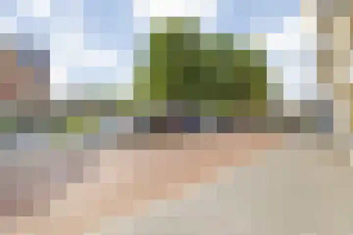 Saksen Weimarplein 10 Breda thumbnail 12