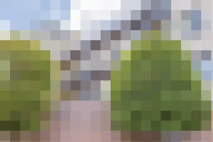 Saksen Weimarplein 10 Breda thumbnail 17