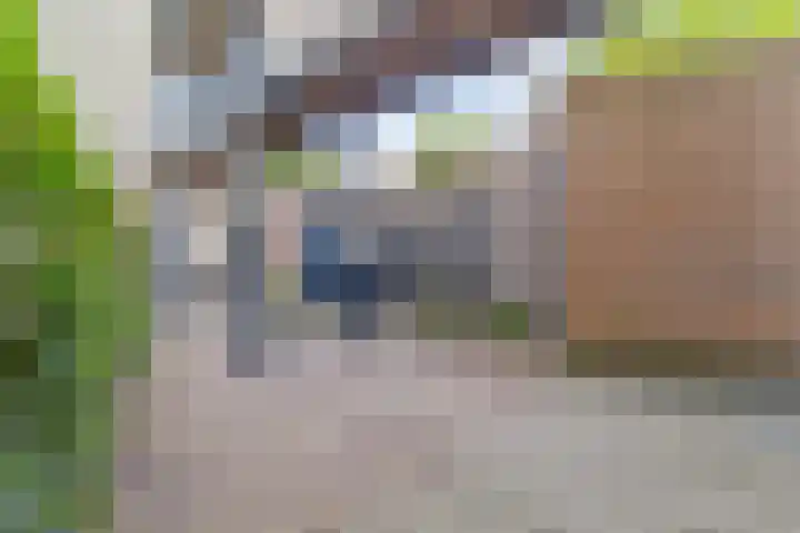 Saksen Weimarplein 10 Breda thumbnail 60