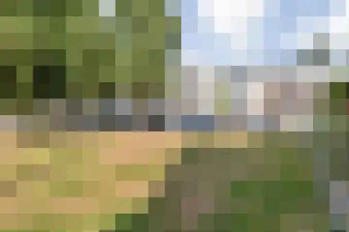 Saksen Weimarplein 10 Breda thumbnail 63