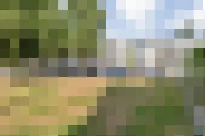 Saksen Weimarplein 10 Breda thumbnail 7