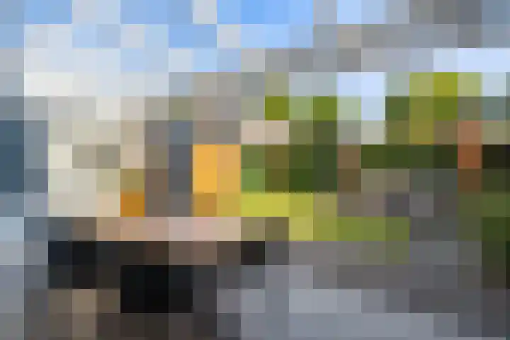Saksen Weimarstraat 5 Weert thumbnail 5