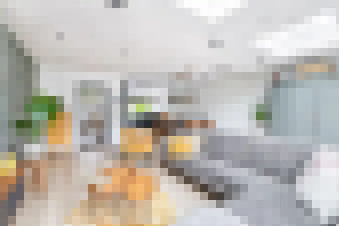 Saksenhorst 12 Sassenheim thumbnail 11