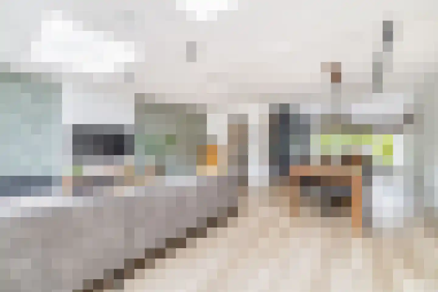 Saksenhorst 12 Sassenheim thumbnail 12