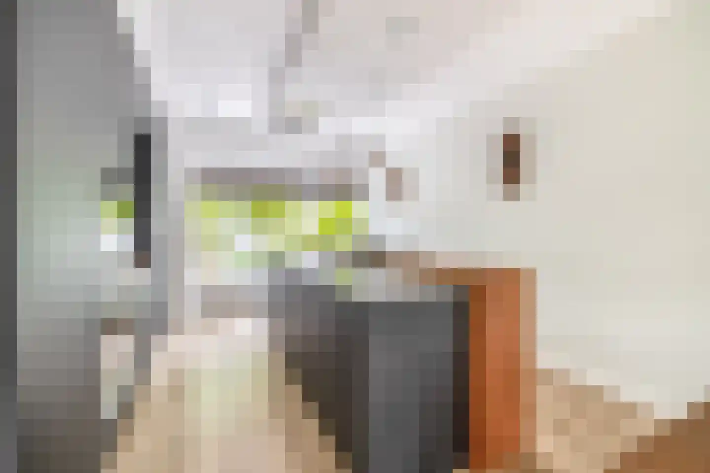 Saksenhorst 12 Sassenheim thumbnail 15