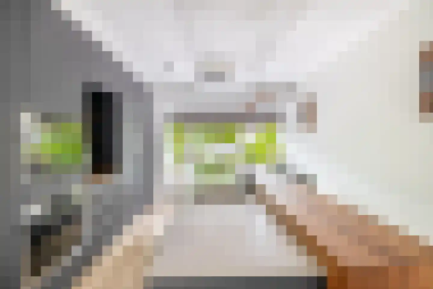 Saksenhorst 12 Sassenheim thumbnail 16