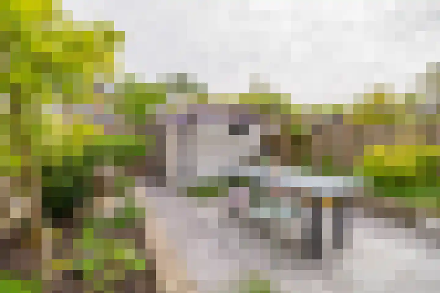 Saksenhorst 12 Sassenheim thumbnail 31