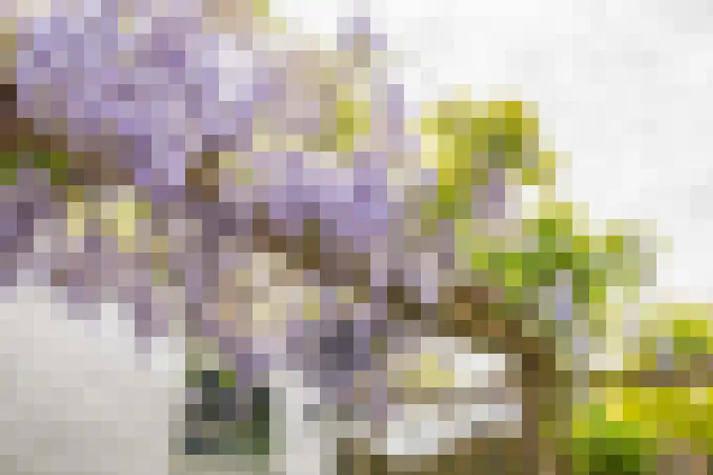 Saksenhorst 12 Sassenheim thumbnail 33