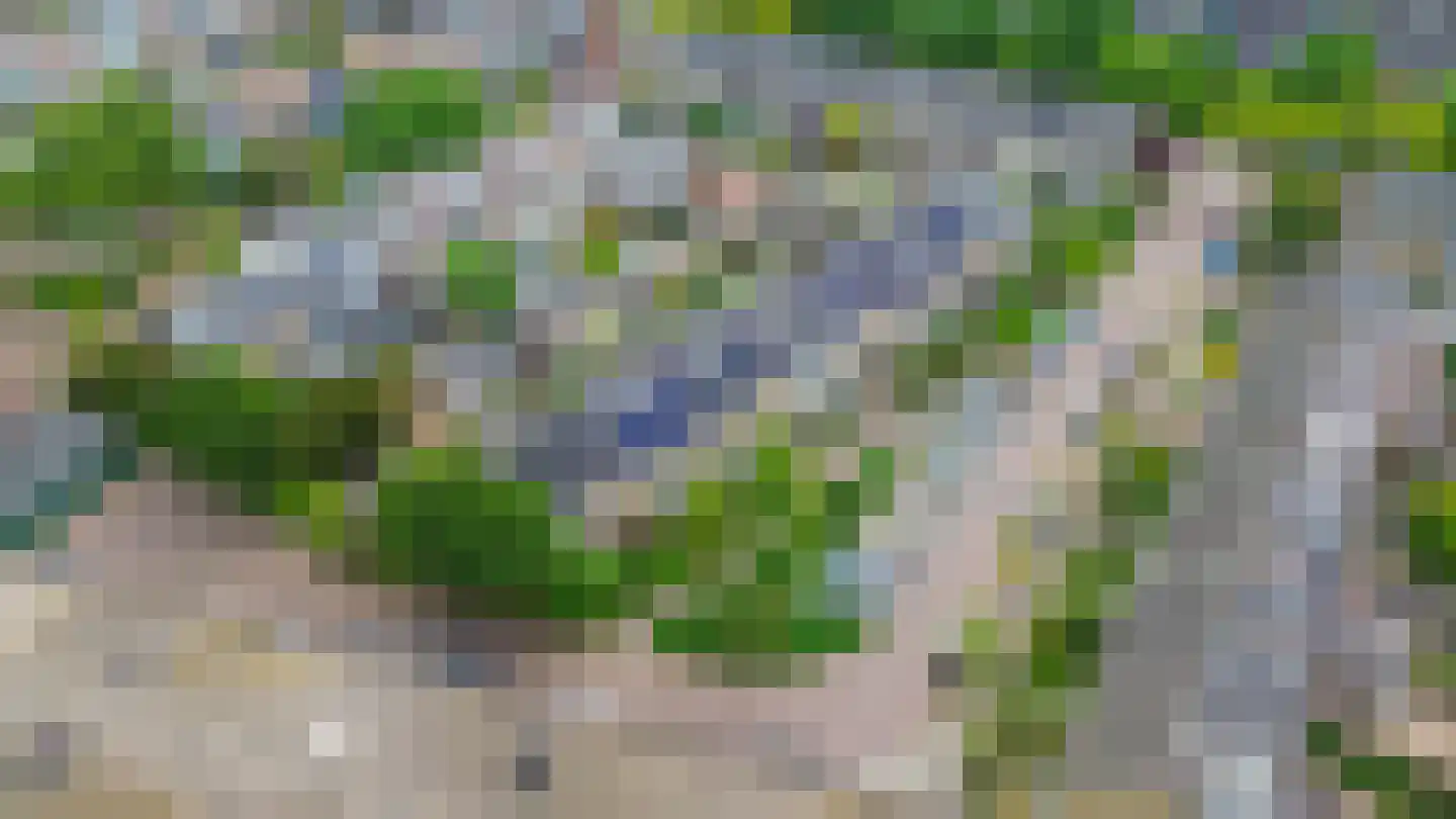 Saksenhorst 12 Sassenheim thumbnail 37