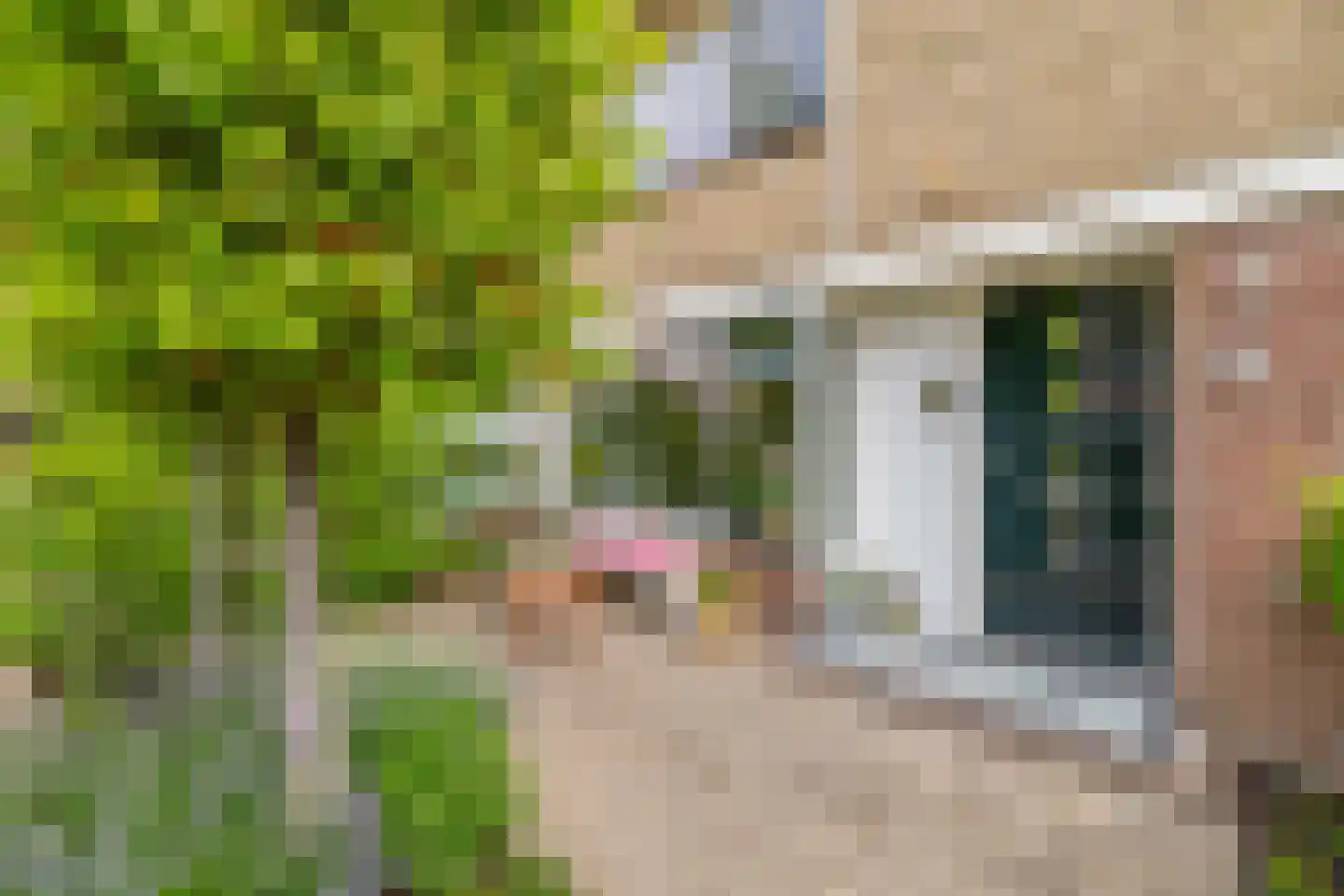 Saksenhorst 12 Sassenheim thumbnail 4