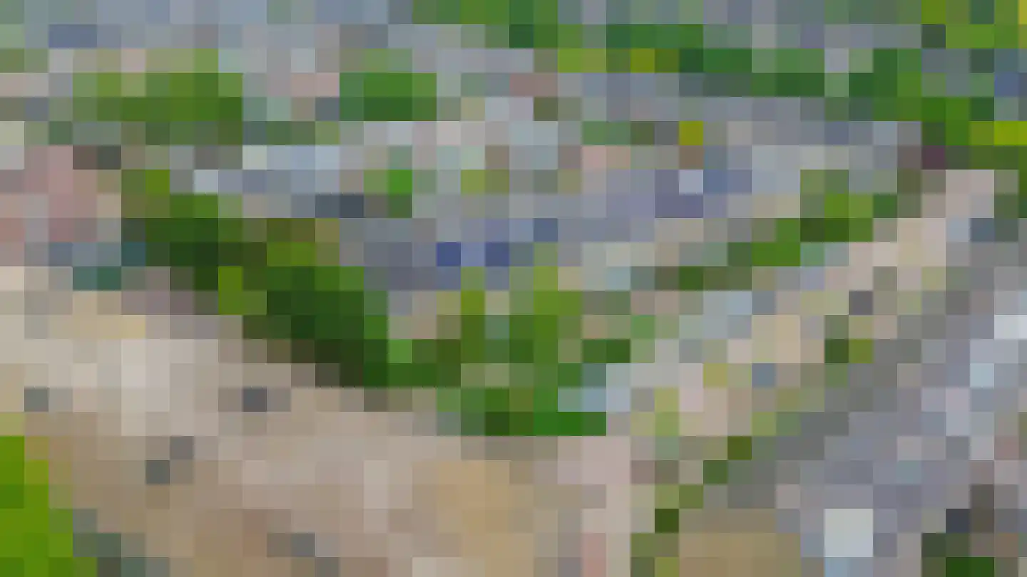 Saksenhorst 12 Sassenheim thumbnail 41
