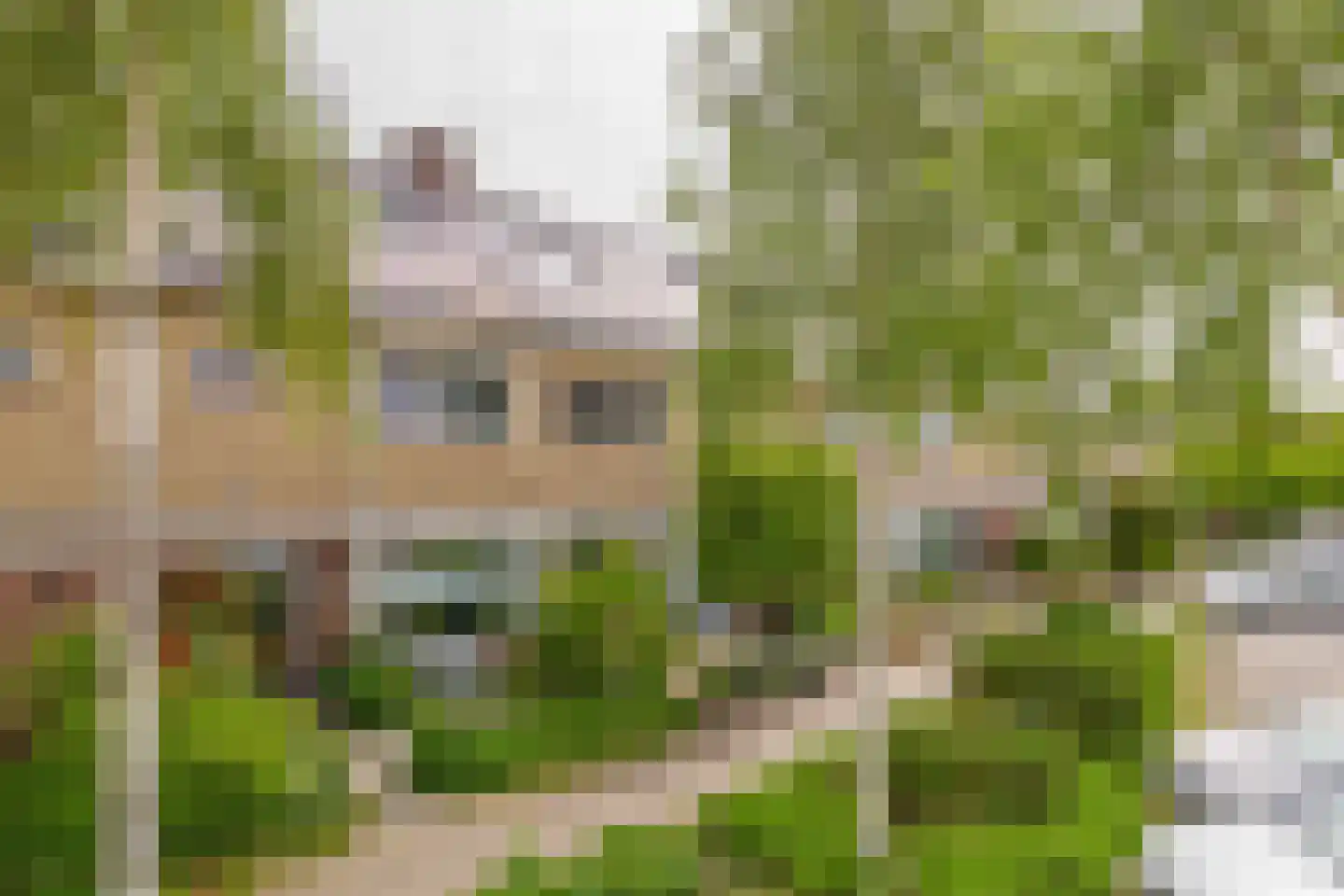 Saksenhorst 12 Sassenheim thumbnail 46