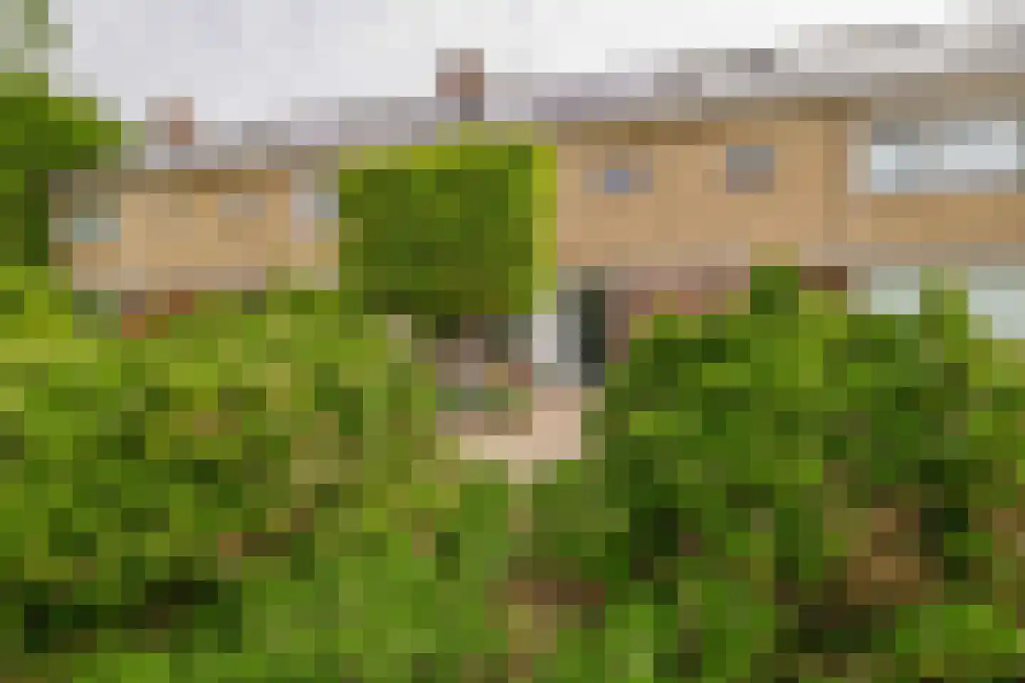 Saksenhorst 12 Sassenheim thumbnail 47