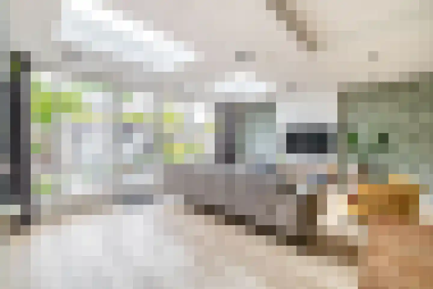 Saksenhorst 12 Sassenheim thumbnail 9