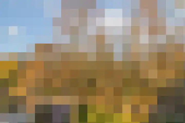 Saksenhorst 17 c Sassenheim thumbnail 14