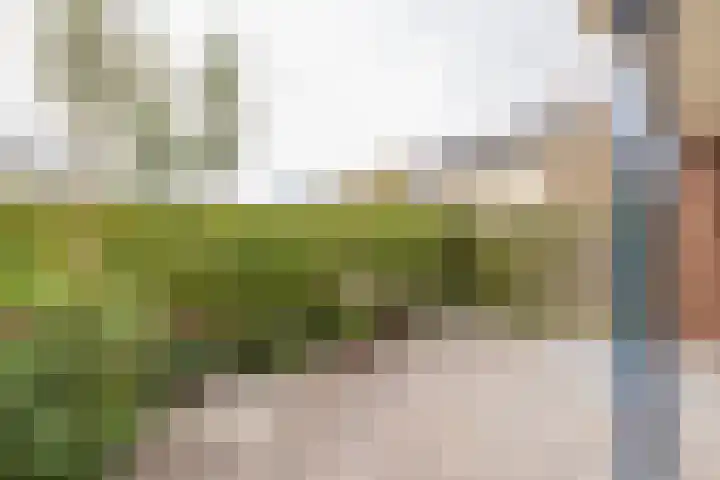 Saksenhorst 19 Sassenheim thumbnail 11