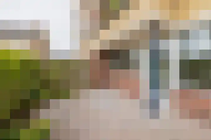 Saksenhorst 19 Sassenheim thumbnail 12