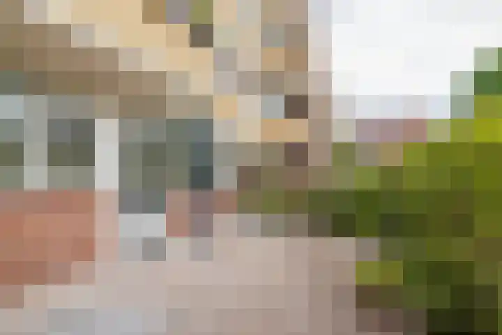 Saksenhorst 19 Sassenheim thumbnail 13
