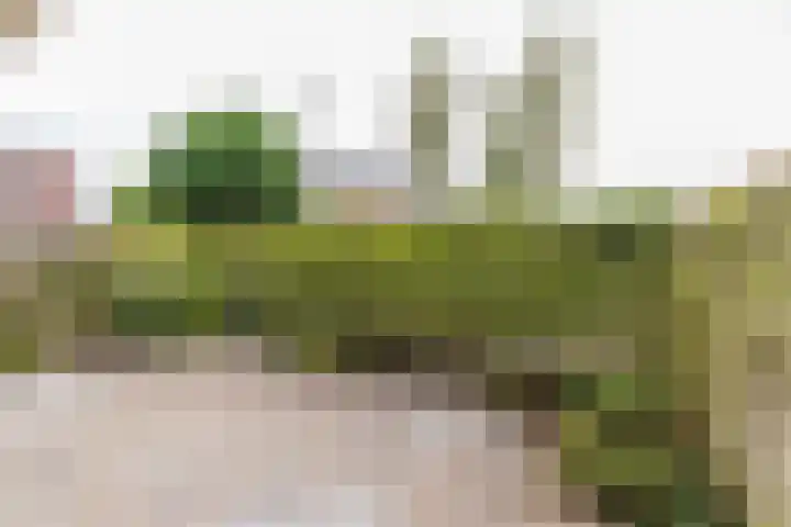 Saksenhorst 19 Sassenheim thumbnail 14