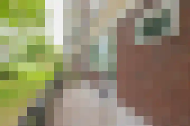 Saksenhorst 19 Sassenheim thumbnail 22