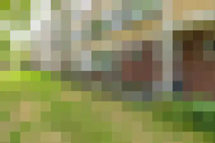 Saksenhorst 19 Sassenheim thumbnail 28