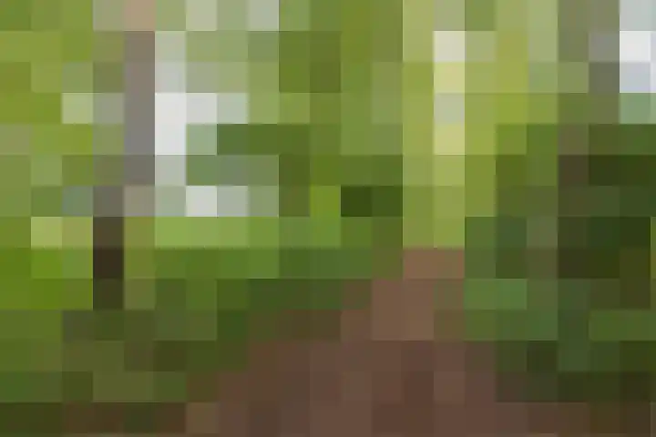 Saksenhorst 19 Sassenheim thumbnail 31