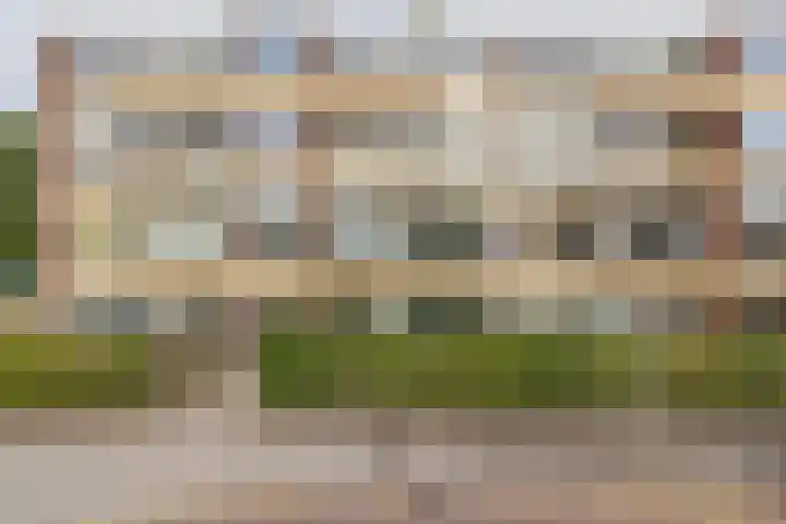 Saksenhorst 19 Sassenheim thumbnail 32