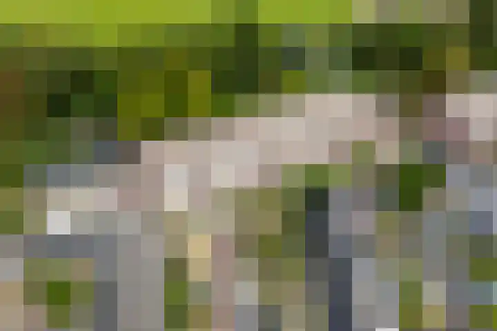 Saksenhorst 19 Sassenheim thumbnail 36