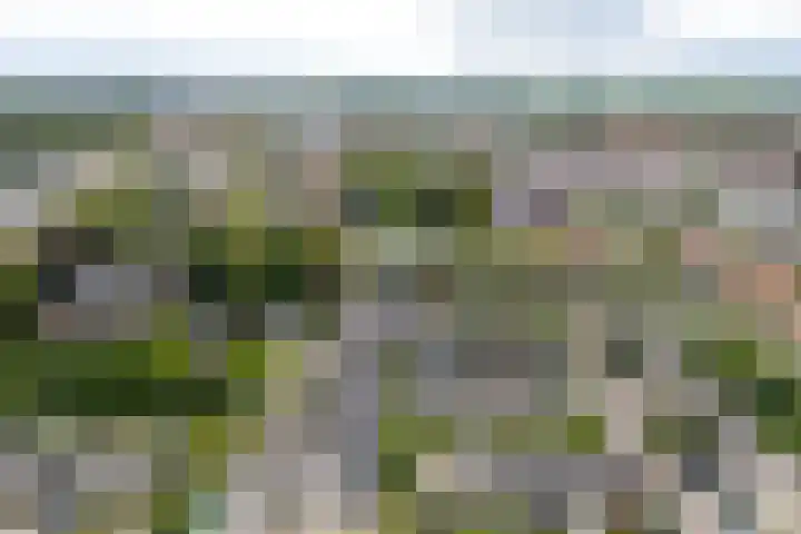 Saksenhorst 19 Sassenheim thumbnail 37