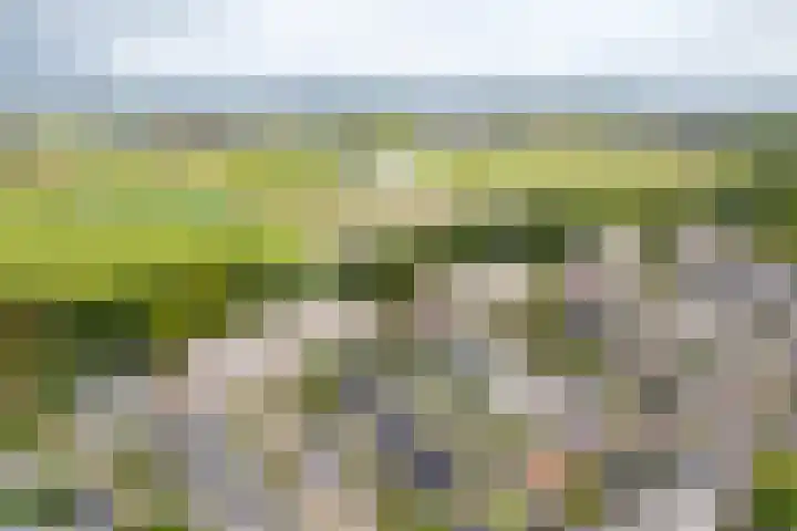 Saksenhorst 19 Sassenheim thumbnail 38
