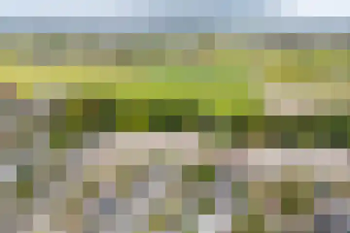 Saksenhorst 19 Sassenheim thumbnail 39