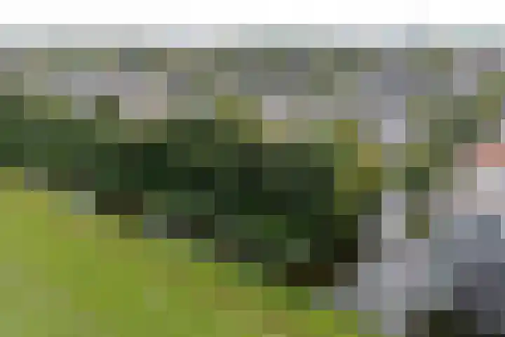 Saksenhorst 19 Sassenheim thumbnail 40