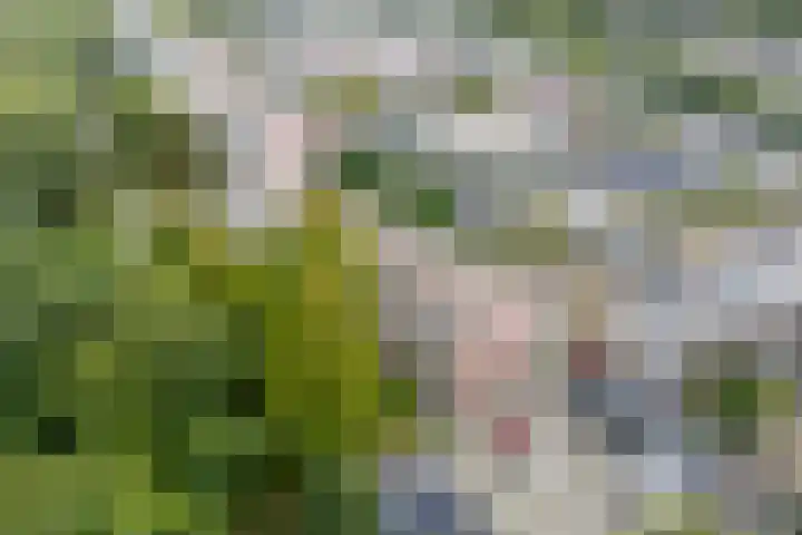 Saksenhorst 19 Sassenheim thumbnail 41