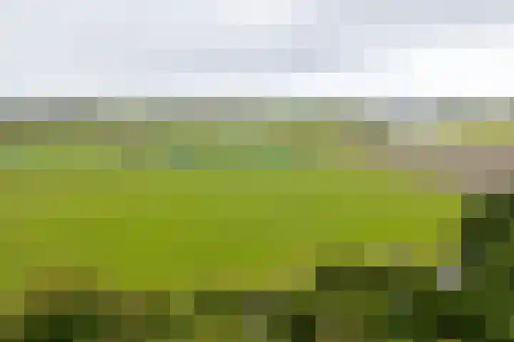 Saksenhorst 19 Sassenheim thumbnail 42