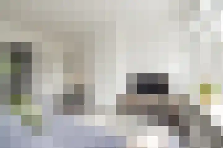 Saksenhorst 19 Sassenheim thumbnail 7
