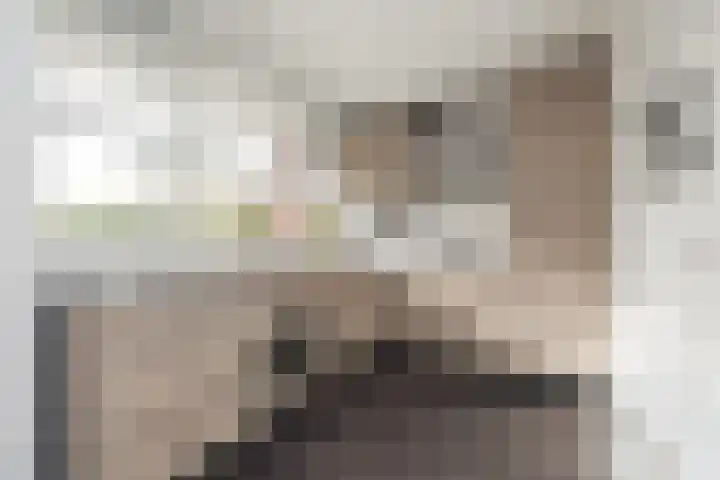 Saksenhorst 19 Sassenheim thumbnail 8
