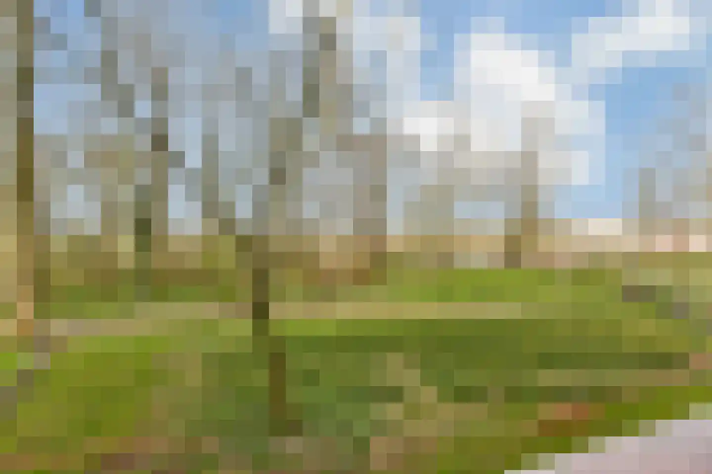 Saksenhorst 21 a Sassenheim thumbnail 12