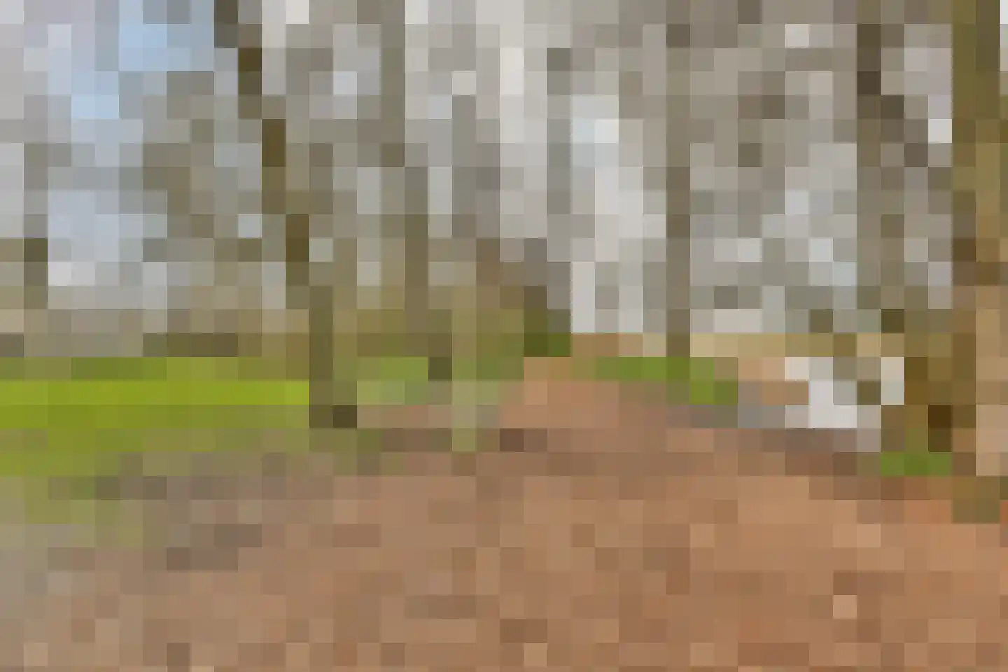 Saksenhorst 21 a Sassenheim thumbnail 20