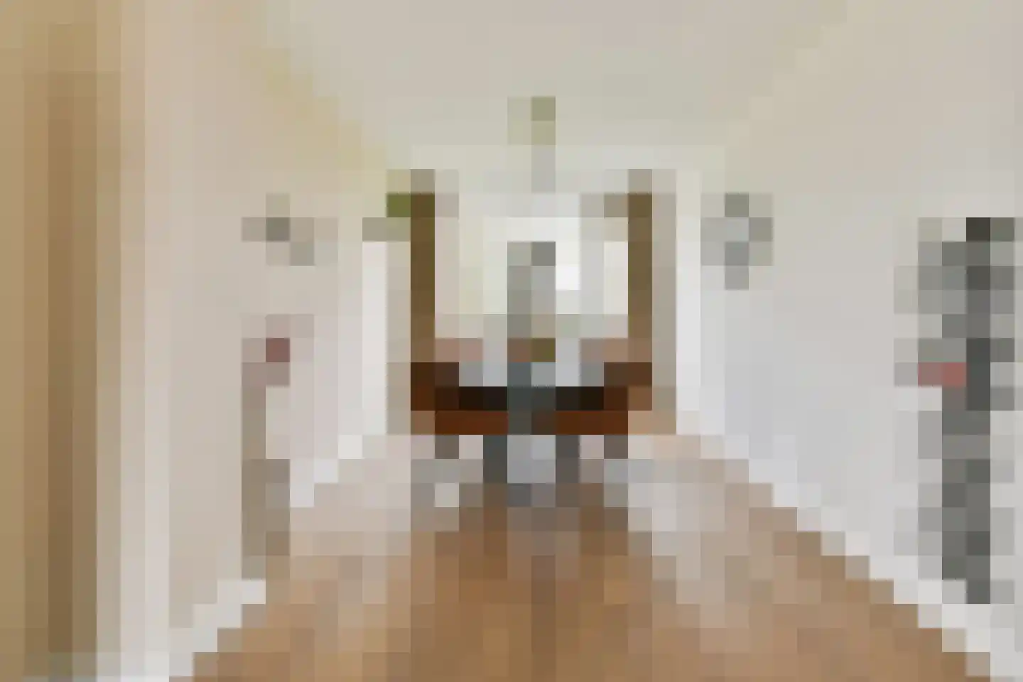 Saksenhorst 21 a Sassenheim thumbnail 5